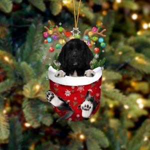 Newfoundland 1 In Snow Pocket Christmas…