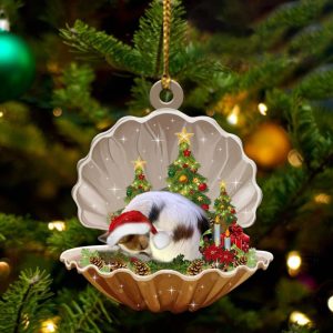 Papillon – Sleeping Pearl in Christmas…