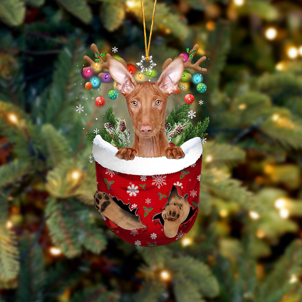 Pharaoh Hound In Snow Pocket Christmas Ornament - Two Sided Christmas Plastic Hanging
