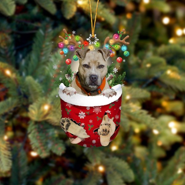 Pitbulll 02 In Snow Pocket Christmas Ornament – Two Sided Christmas Plastic Hanging