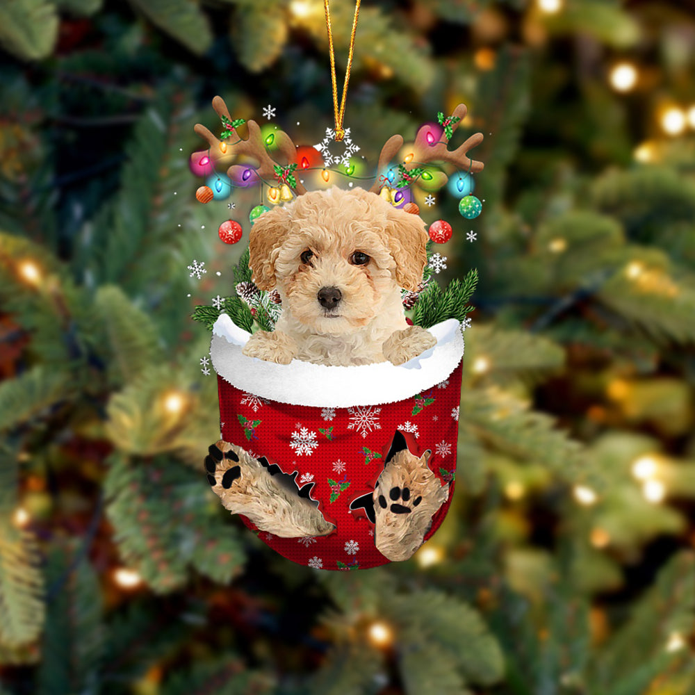 Poochon In Snow Pocket Christmas Ornament - Two Sided Christmas Plastic Hanging