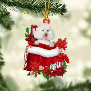 Poodle 2 In Gift Bag Christmas…