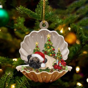 Pug – Sleeping Pearl in Christmas…