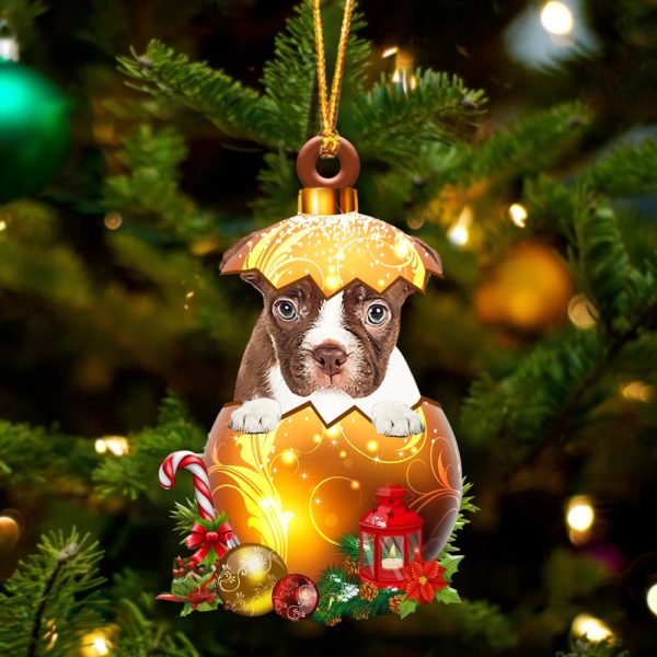 Red Boston Terrier In Golden Egg Christmas Ornament – Car Ornament – Unique Dog Gifts For Owners