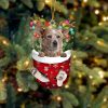 Red Heeler In Snow Pocket Christmas Ornament – Two Sided Christmas Plastic Hanging