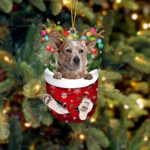 Red Heeler In Snow Pocket Christmas…