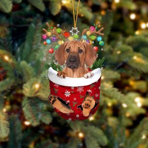 Rhodesian Ridgeback In Snow Pocket Christmas…