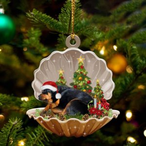 Rottweiler – Sleeping Pearl in Christmas…