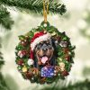 Rottweiler And Christmas Ornament – Acrylic…