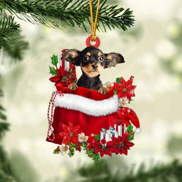 Russkiy Toy In Gift Bag Christmas Ornament – Car Ornaments – Gift For Dog Lovers
