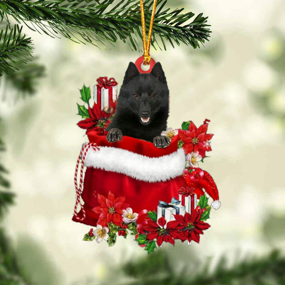 Schipperke In Gift Bag Christmas Ornament - Car Ornaments - Gift For Dog Lovers