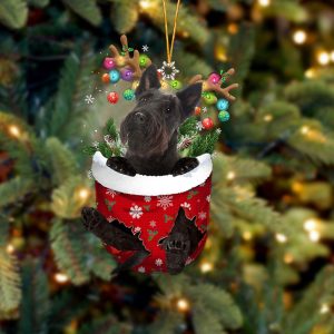 Scottish Terrier In Snow Pocket Christmas…