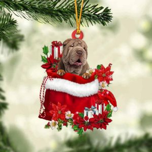 Shar Pei In Gift Bag Christmas…