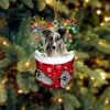 Shetland Sheepdog 1 In Snow Pocket Christmas Ornament – Two Sided Christmas Plastic Hanging