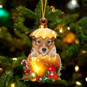 Shetland Sheepdog In Golden Egg Christmas…