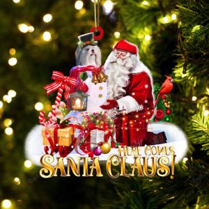 Shih Tzu With Santa Clause Christmas…