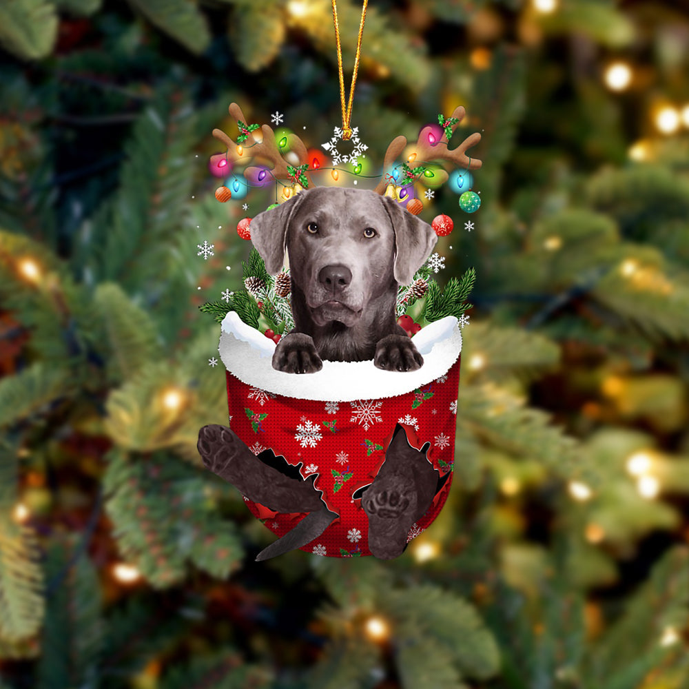 Silver Labrador In Snow Pocket Christmas Ornament - Two Sided Christmas Plastic Hanging