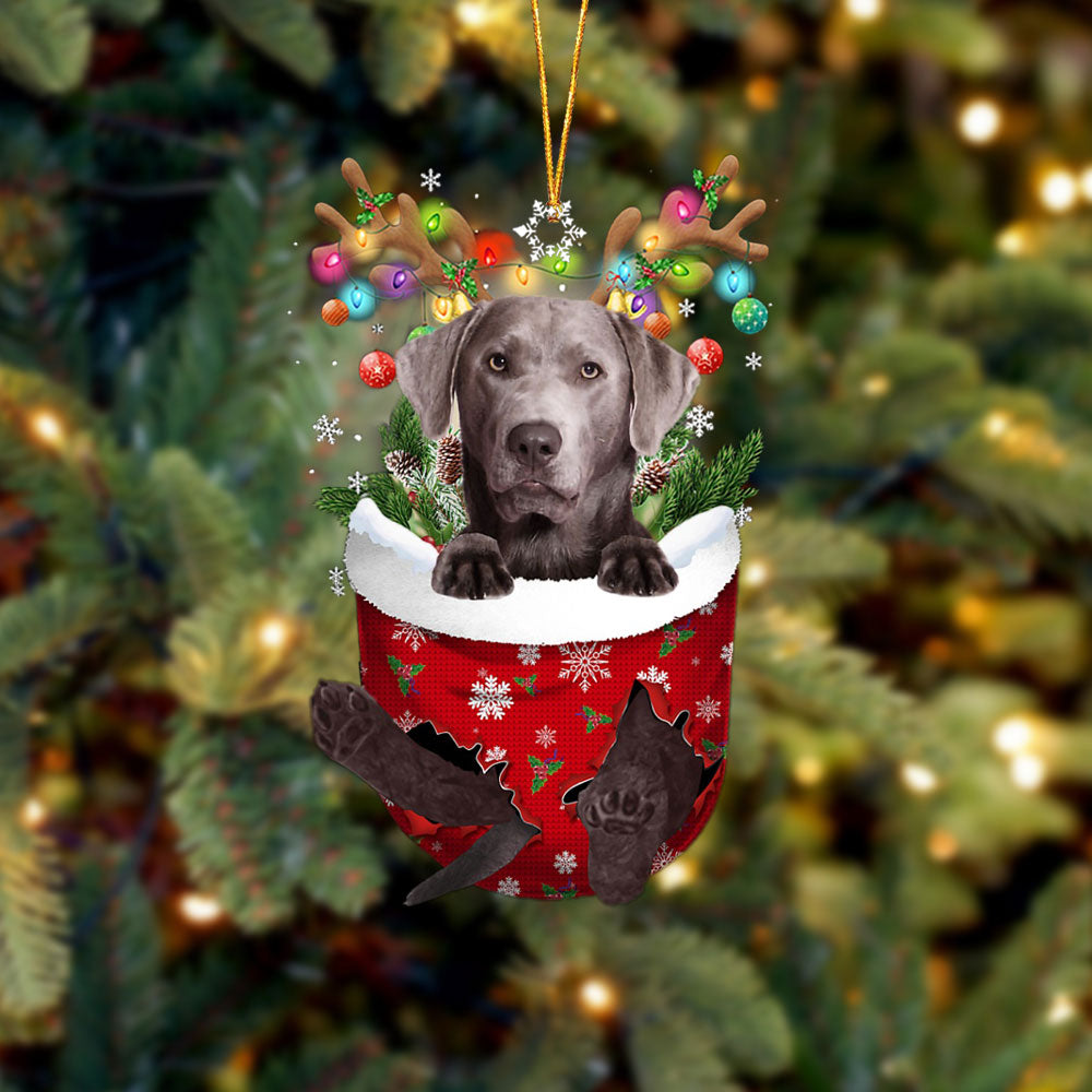Silver Labrador In Snow Pocket Christmas Ornament V1 - Two Sided Christmas Plastic Hanging