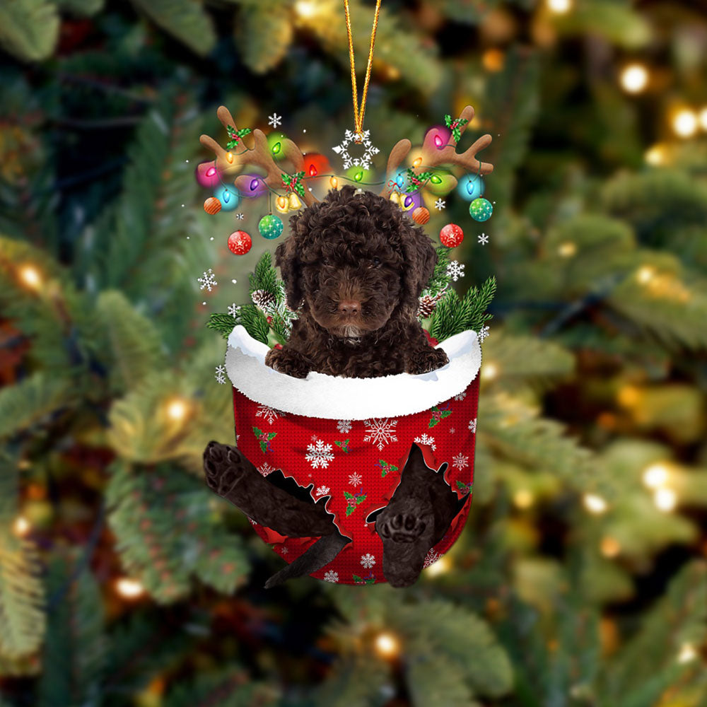 Spanish Water Dog In Snow Pocket Christmas Ornament - Two Sided Christmas Plastic Hanging