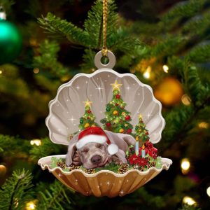 Weimaraner3 – Sleeping Pearl in Christmas…