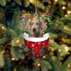 Weimaraner 2 In Snow Pocket Christmas Ornament – Two Sided Christmas Plastic Hanging