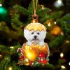 White Bichon Frise In Golden Egg Christmas Ornament – Car Ornament – Unique Dog Gifts For Owners