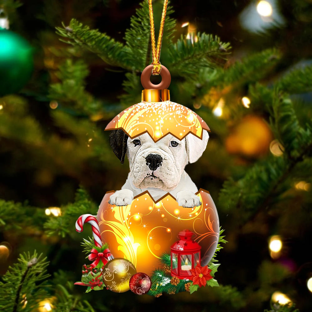 White Boxer In Golden Egg Christmas Ornament - Car Ornament - Unique Dog Gifts For Owners