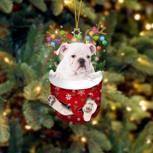 White English Bulldog In Snow Pocket…