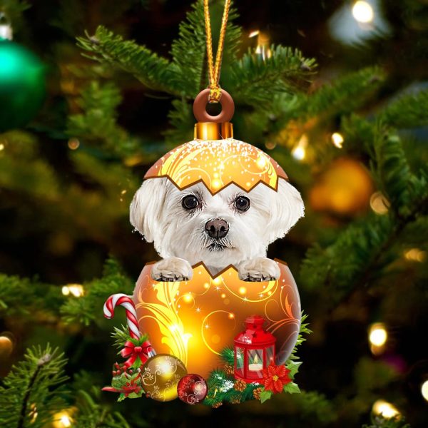 White Maltese In Golden Egg Christmas Ornament – Car Ornament – Unique Dog Gifts For Owners