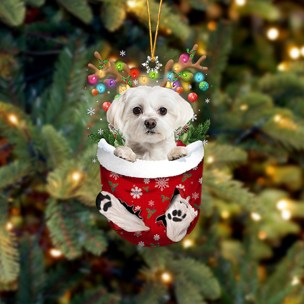 White Maltese In Snow Pocket Christmas Ornament - Two Sided Christmas Plastic Hanging