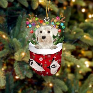 White Miniature Schnauzer In Snow Pocket…