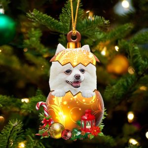 White Pomeranian In Golden Egg Christmas…
