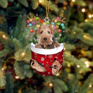 Wire Fox Terrier 1 In Snow…