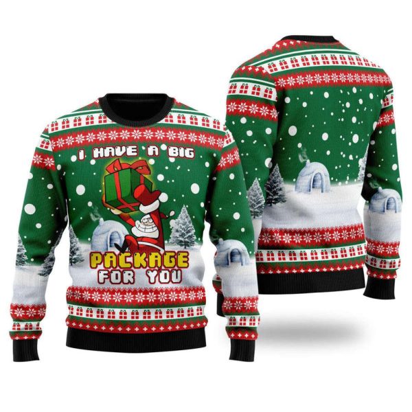 I Have A Big Package For You Christmas Ugly Christmas Sweater For Family