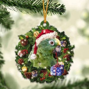 Amazon Parrot And Christmas Ornament 2023…