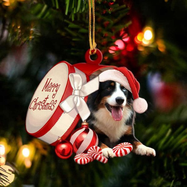 Australian Shepherd Out Of Merry Christmas Box Ornament Dog Ornaments Dog Lover Gifts