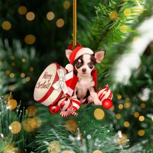 Chihuahua In Christmas Boxgift Ornament Cute…