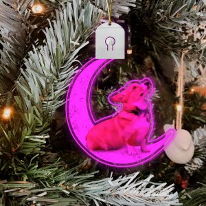 corgi light up christmas tree ornament led christmas ornaments gifts for corgi lovers 4.jpeg