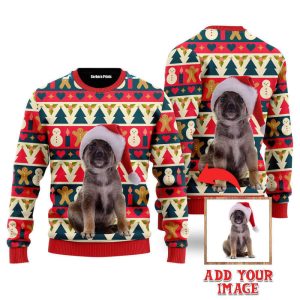 Funny Christmas Dog In Striped Xmas…