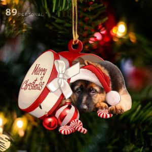 German Shepherd Out Of Merry Christmas…