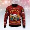 Golden Retriever Best Dog Mom Ever Ugly Christmas Sweater, Gift For Christmas