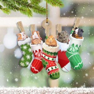 Guinea In Christmas Socks Ornament Cute…