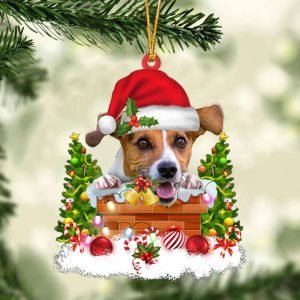 Jack Russell Terrier And Christmas Ornament…
