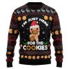 Just Here For The Cookies HT041204 Ugly Christmas Sweater – Noel Malalan