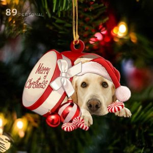 Labrador Retriever Out Of Merry Christmas…