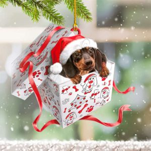 Personalized Dachshund Christmas Ornament Dachshund Xmas…