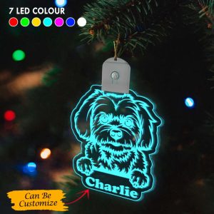 personalized maltese christmas ornament traditional christmas tree decorations gifts for pet lovers 1.jpeg