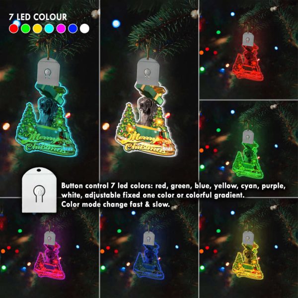 Weimaraner Led Christmas Tree Ornaments 2023 Lighted Christmas Ornament Dog Lovers Gift