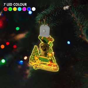 weimaraner led christmas tree ornaments 2022 lighted christmas ornament dog lovers gift 6.jpeg