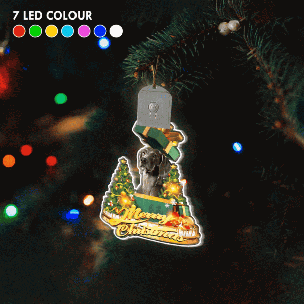 Weimaraner Led Christmas Tree Ornaments 2023 Lighted Christmas Ornament Dog Lovers Gift